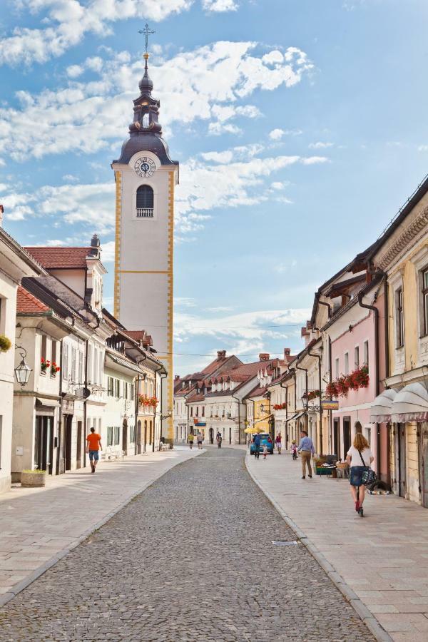 Vila Pocitniska Hiska Pod Skalco Kamnik Exteriér fotografie
